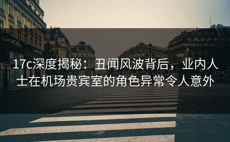 17c深度揭秘：丑闻风波背后，业内人士在机场贵宾室的角色异常令人意外