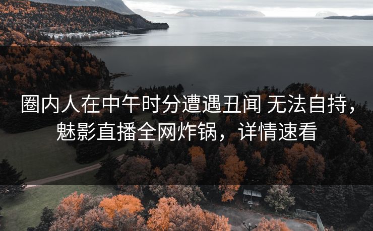 圈内人在中午时分遭遇丑闻 无法自持，魅影直播全网炸锅，详情速看