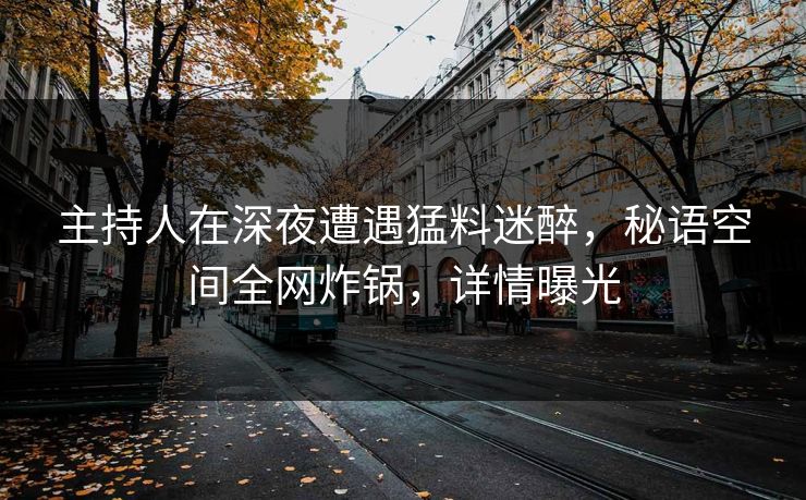 主持人在深夜遭遇猛料迷醉，秘语空间全网炸锅，详情曝光