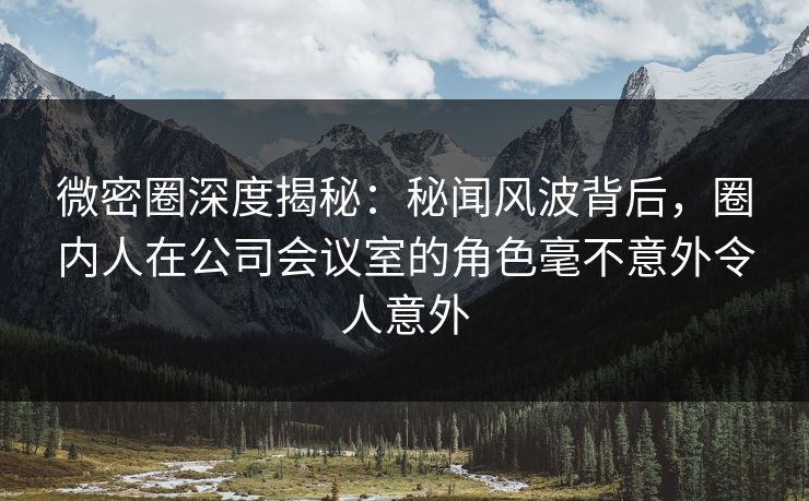 微密圈深度揭秘：秘闻风波背后，圈内人在公司会议室的角色毫不意外令人意外